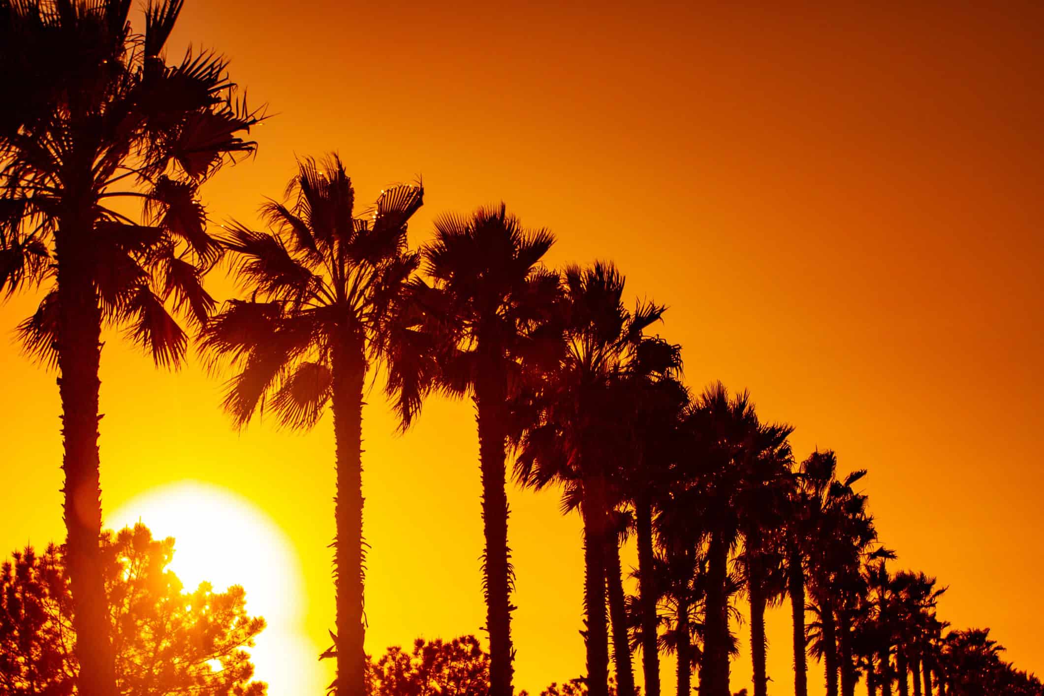 Moving From NYC to San Diego: 101 Guide